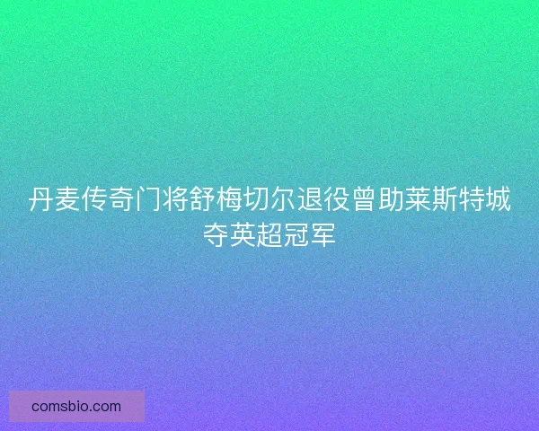丹麦传奇门将舒梅切尔退役曾助莱斯特城夺英超冠军 丹麦传奇门将舒梅切尔退役曾助莱斯特城夺英超冠军